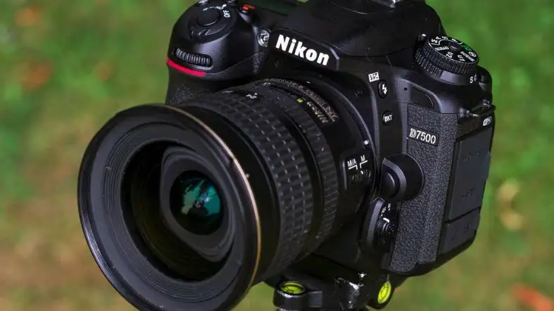 Is Nikon D7500 A Professional Camera