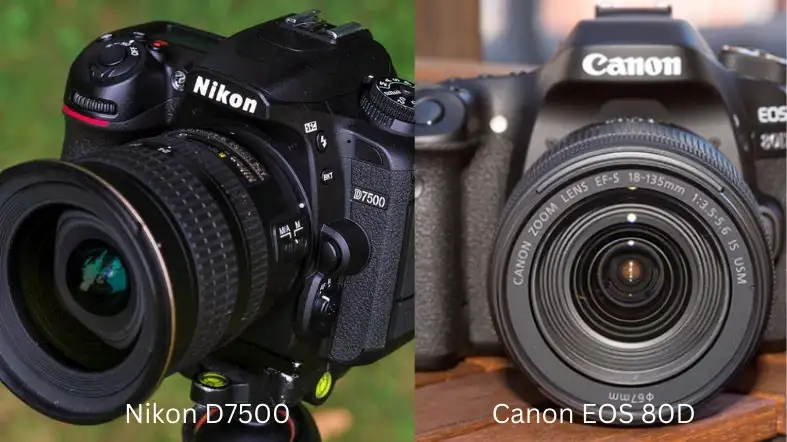 Is Nikon D7500 Sharper Than Canon EOS 80D