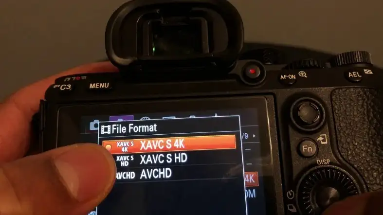 Sony A7III In Video Format.